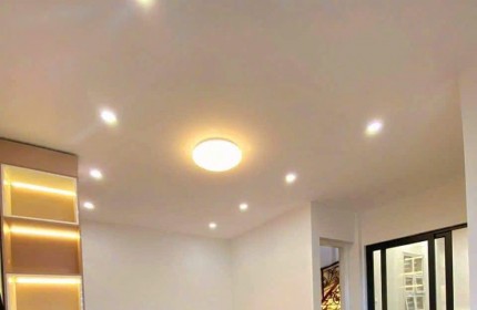 BIỆT THỰ MINI ĐẲNG CẤP SANG TRỌNG Hồng Tiến - Quận Long Biên 60m2 - 4 tầng, mặt tiền khủngNhỉnh 10 tỷ